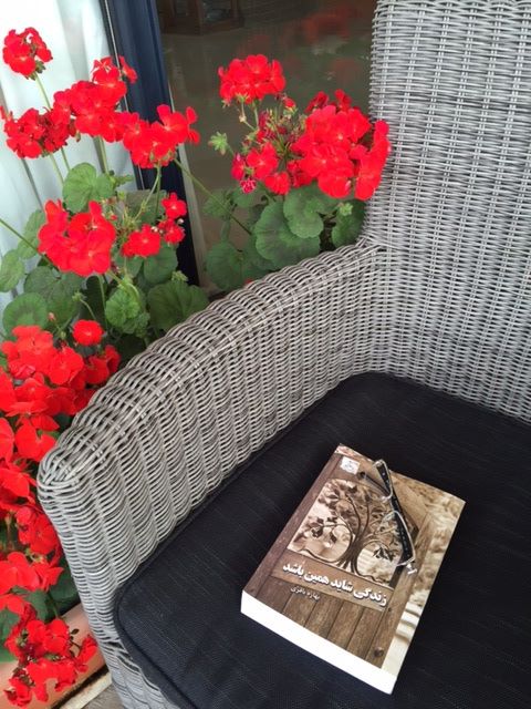 زندگى شايد همين باشد/ بهاره باقرى